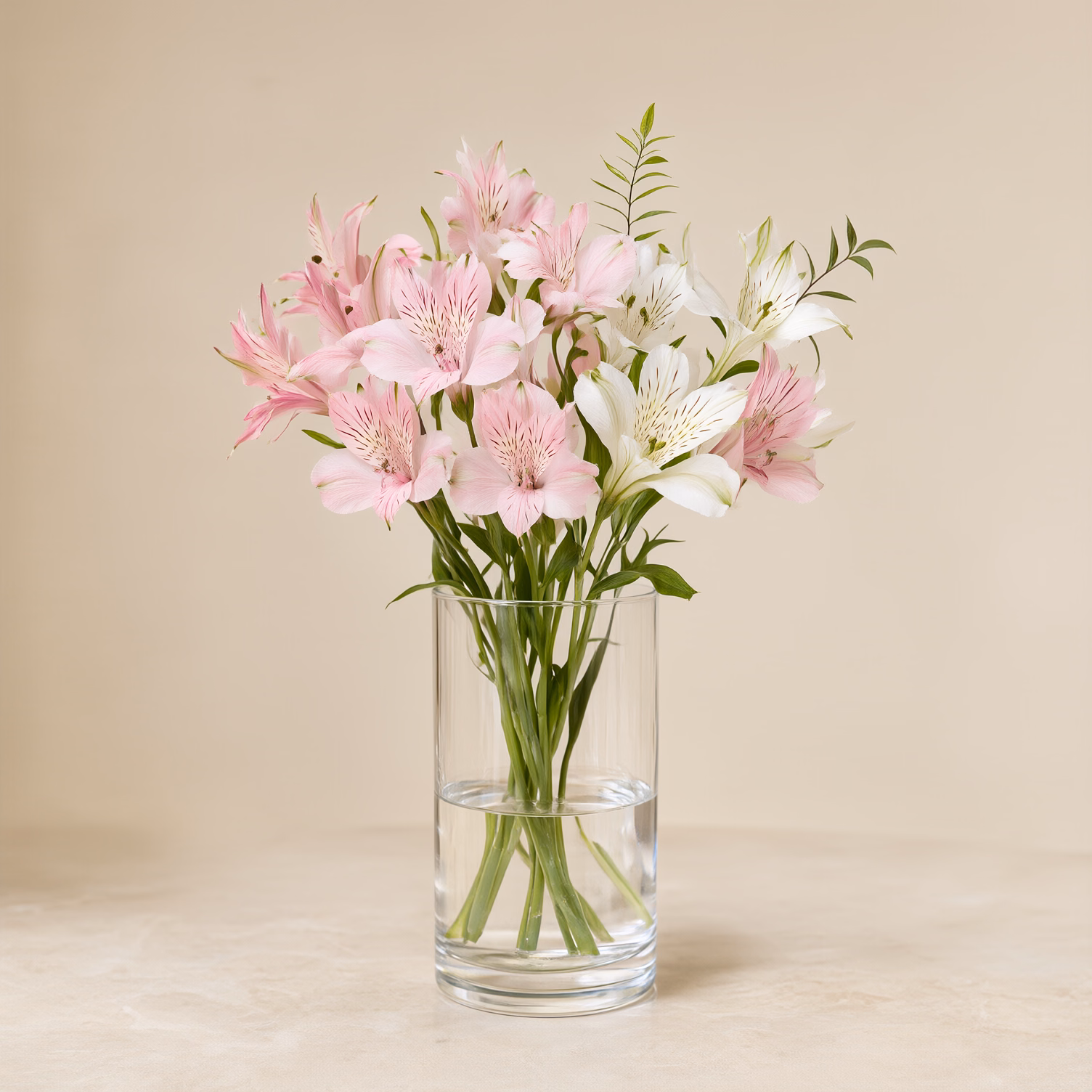 Alstroemerie Rosa e Bianche