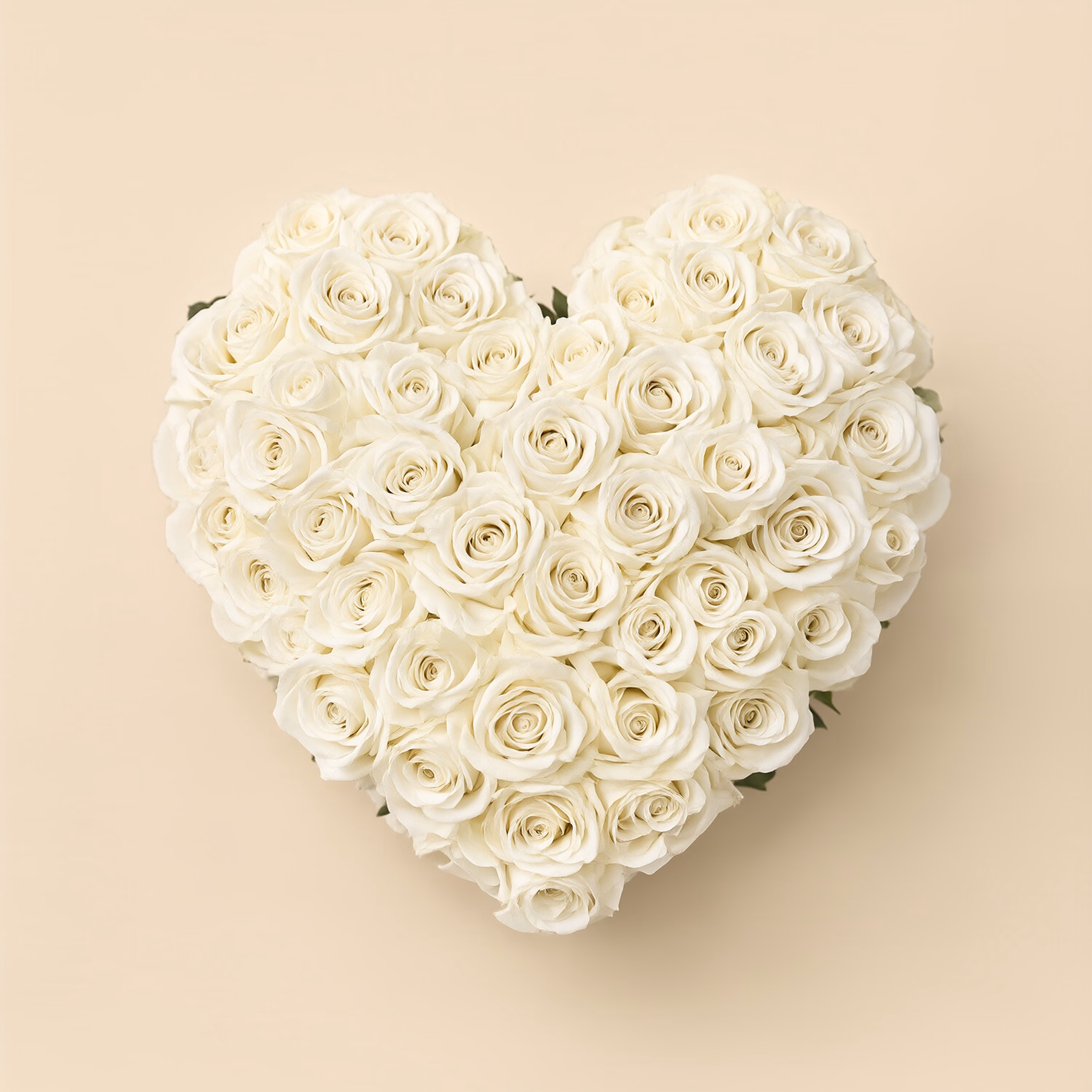 Cuore Funebre con Rose Bianche e Crema
