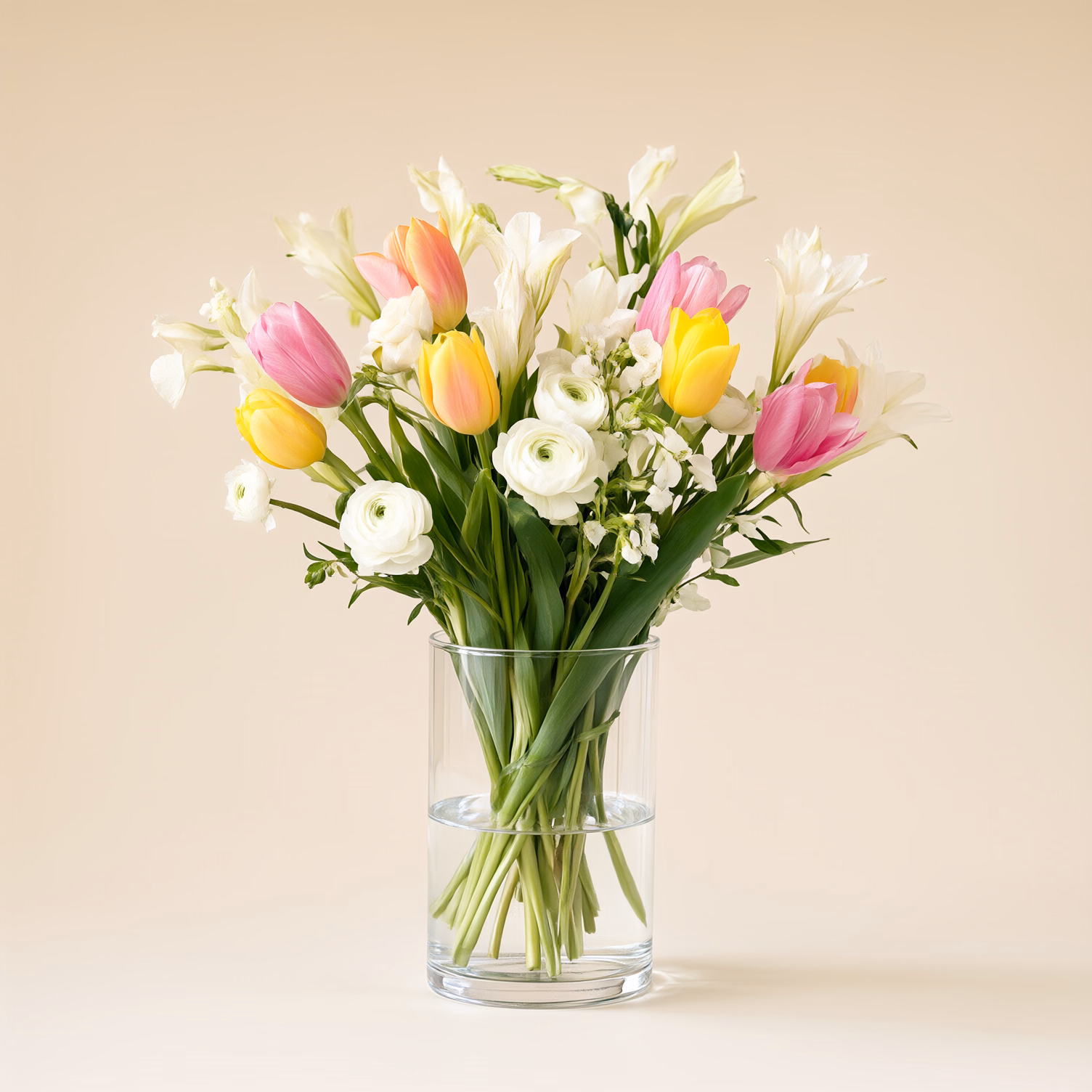 Fiori di Primavera