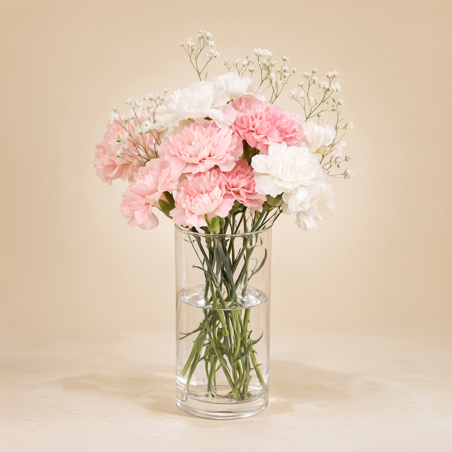 Garofani Rosa e Bianchi