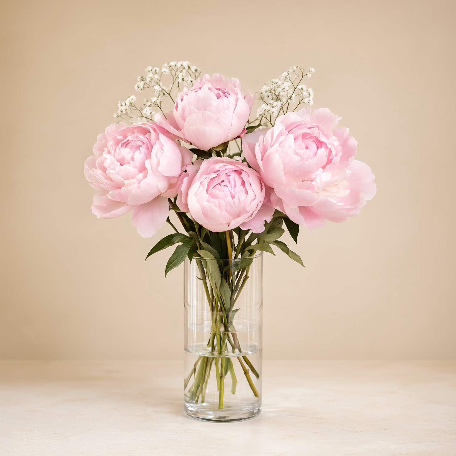 Peonie Rosa e Gypsophila